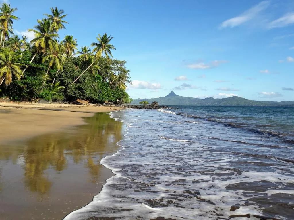 La plage de Tahiti Plage bordée de cocotiers, à Sada (Mayotte)